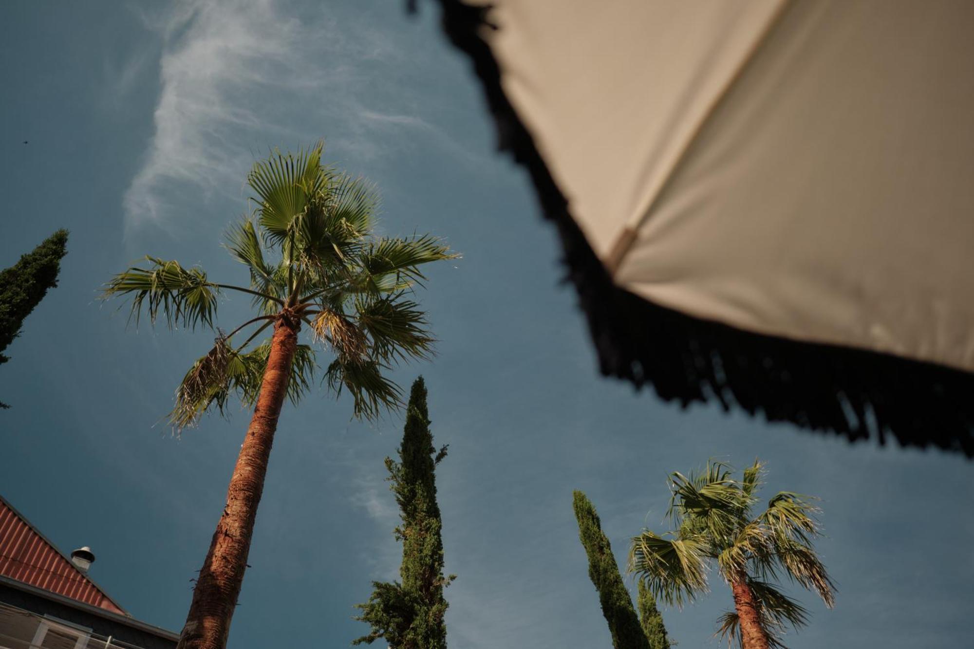 Ga Palace Hotel & Spa, A Xixth-Century Villa Porto Exterior photo Palm trees in the city